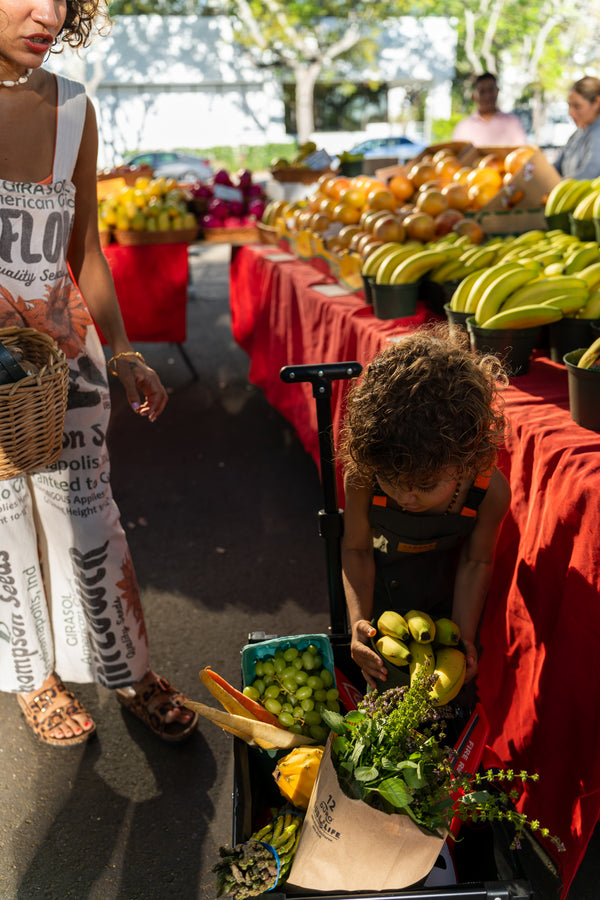 Overhead view of child with cart of melons at the farmer's market